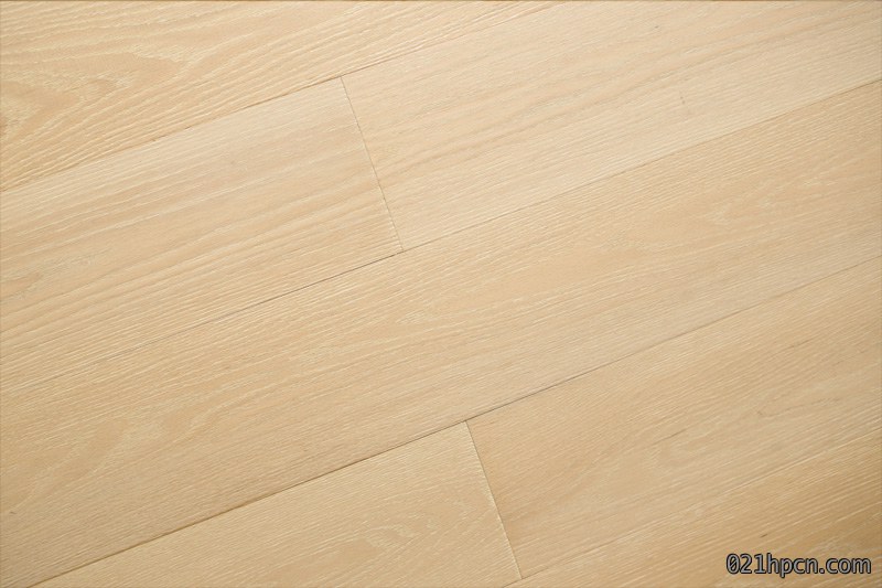 American Red Oak Drawing35025